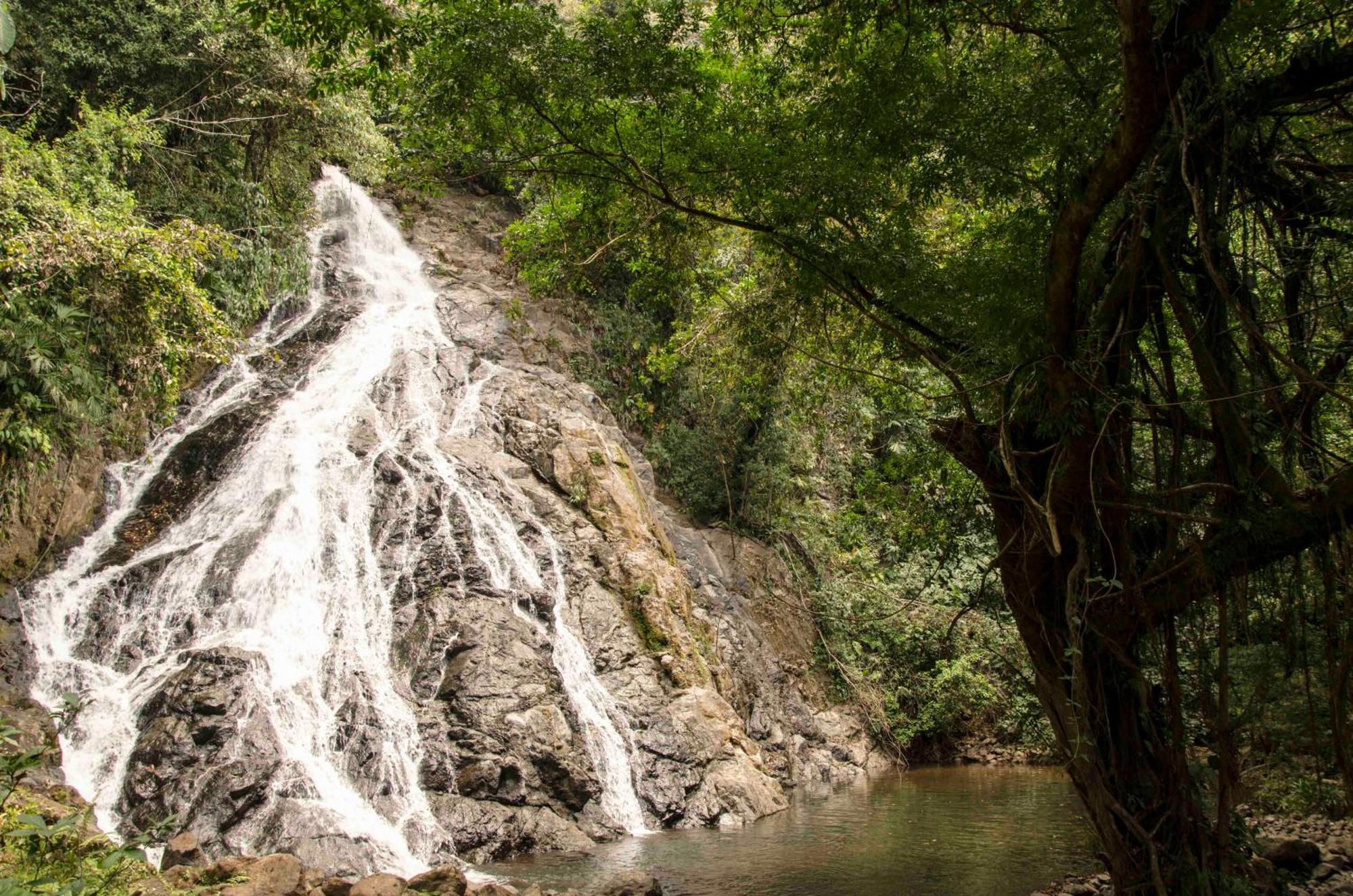 Jardin Botanico Del Pacifico Y Mecana Ecohotel 巴亚索拉诺 外观 照片