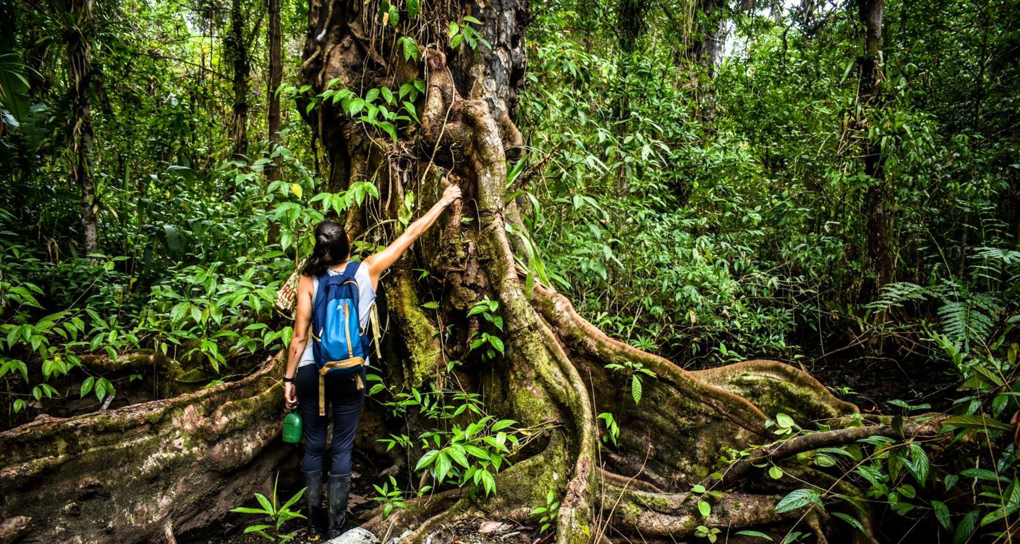 Jardin Botanico Del Pacifico Y Mecana Ecohotel 巴亚索拉诺 外观 照片