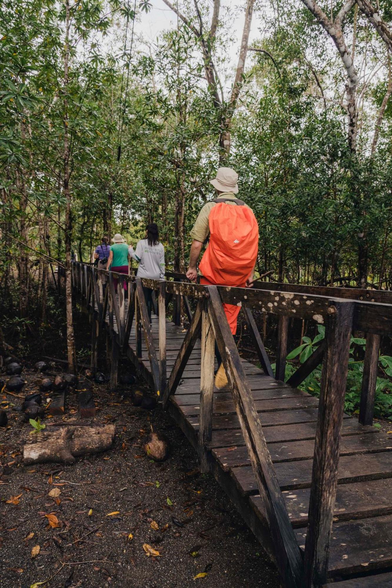 Jardin Botanico Del Pacifico Y Mecana Ecohotel 巴亚索拉诺 外观 照片