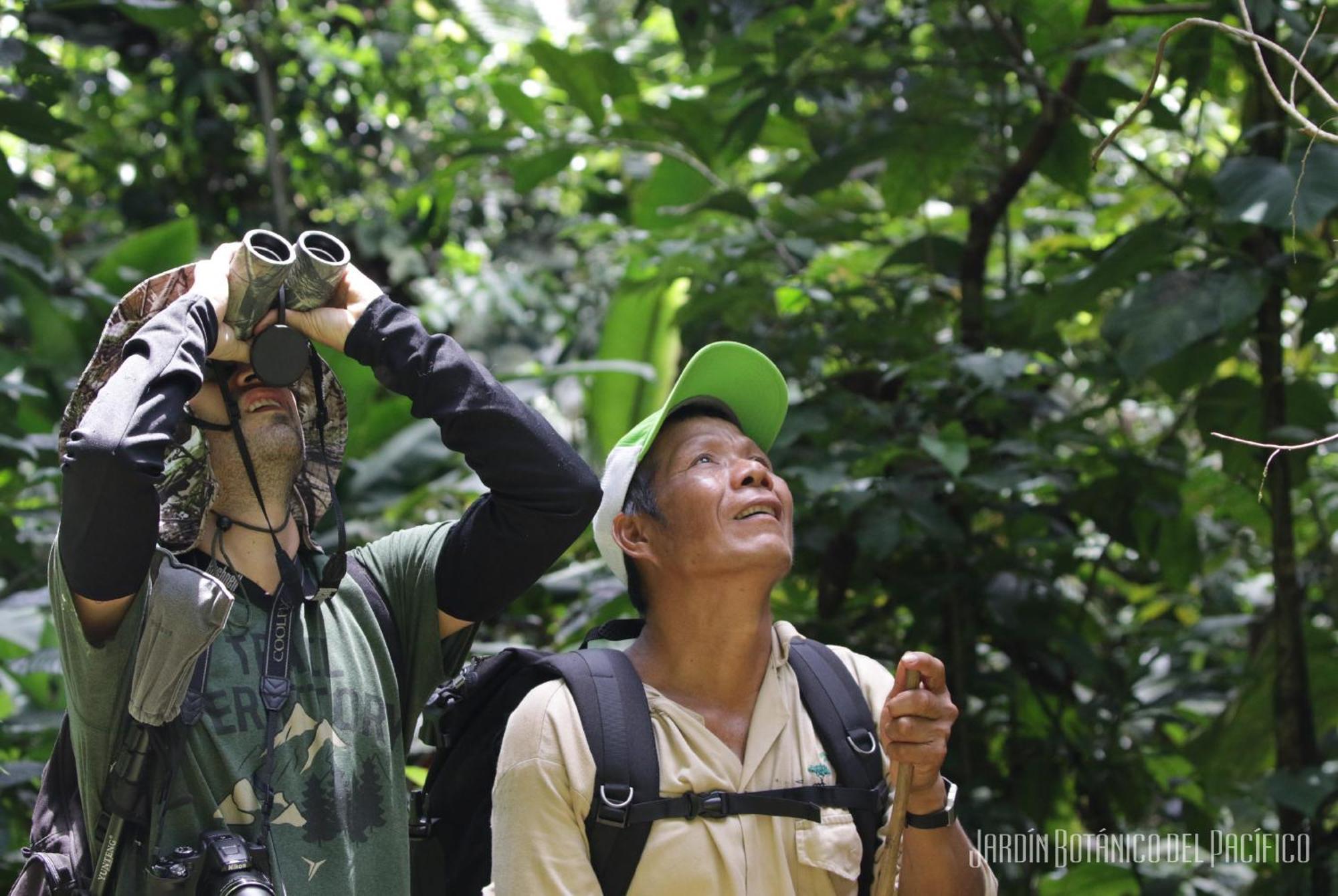 Jardin Botanico Del Pacifico Y Mecana Ecohotel 巴亚索拉诺 外观 照片