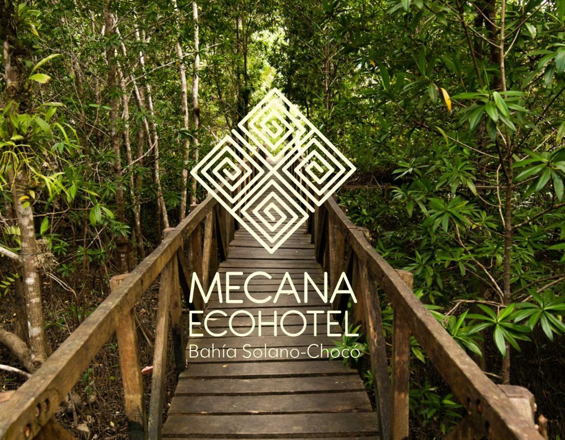 Jardin Botanico Del Pacifico Y Mecana Ecohotel 巴亚索拉诺 外观 照片