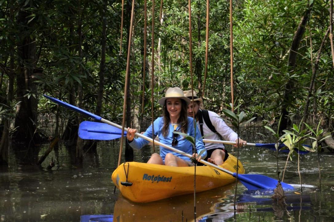 Jardin Botanico Del Pacifico Y Mecana Ecohotel 巴亚索拉诺 外观 照片